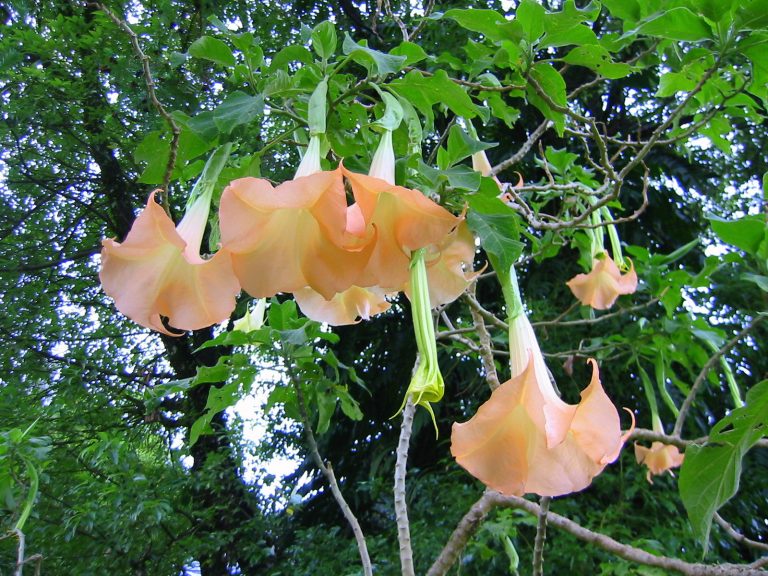 Day 2: Kathmandu – Pokhara