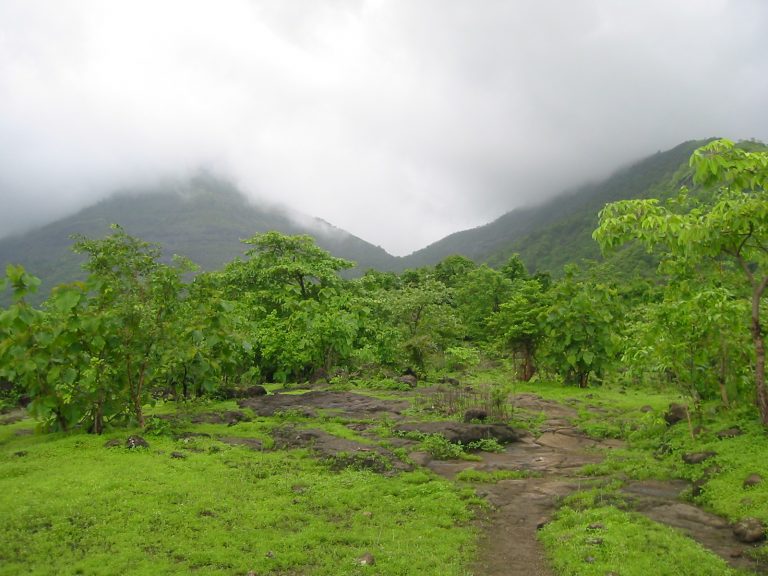 Chanderi (Karjat Region)