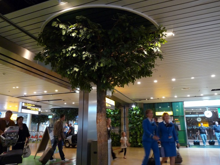 Green Schipol Story
