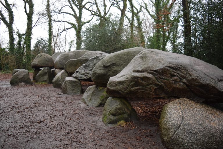 A row of massive granite boulders forming a hunebed — a Neolithic megalithic tomb — in a wooded park in Drenthe, the Netherlands, on a wet winter day.