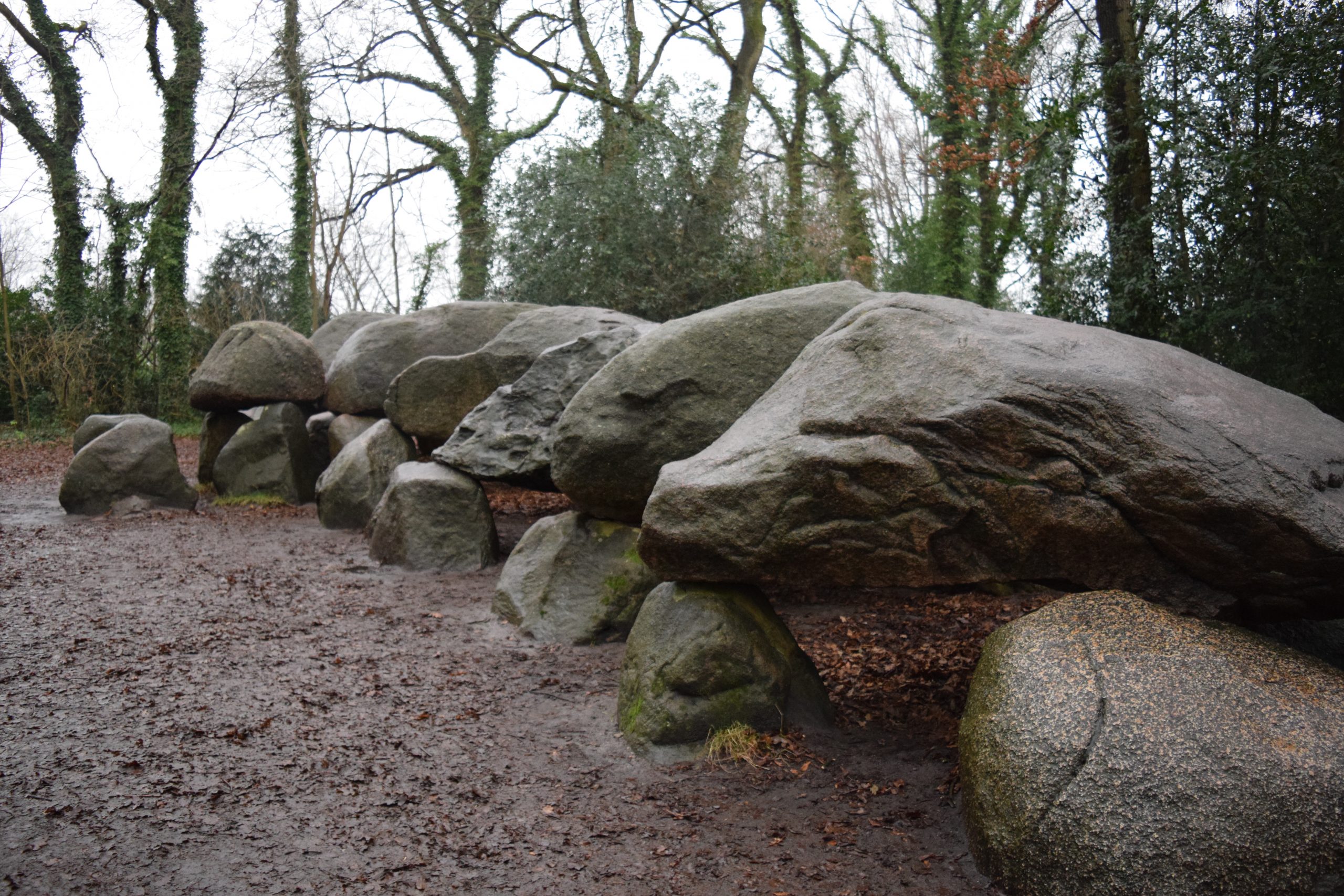 A row of massive granite boulders forming a hunebed — a Neolithic megalithic tomb — in a wooded park in Drenthe, the Netherlands, on a wet winter day.